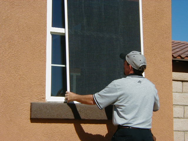 Window Screen